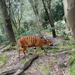 Meet your Posher, Noah